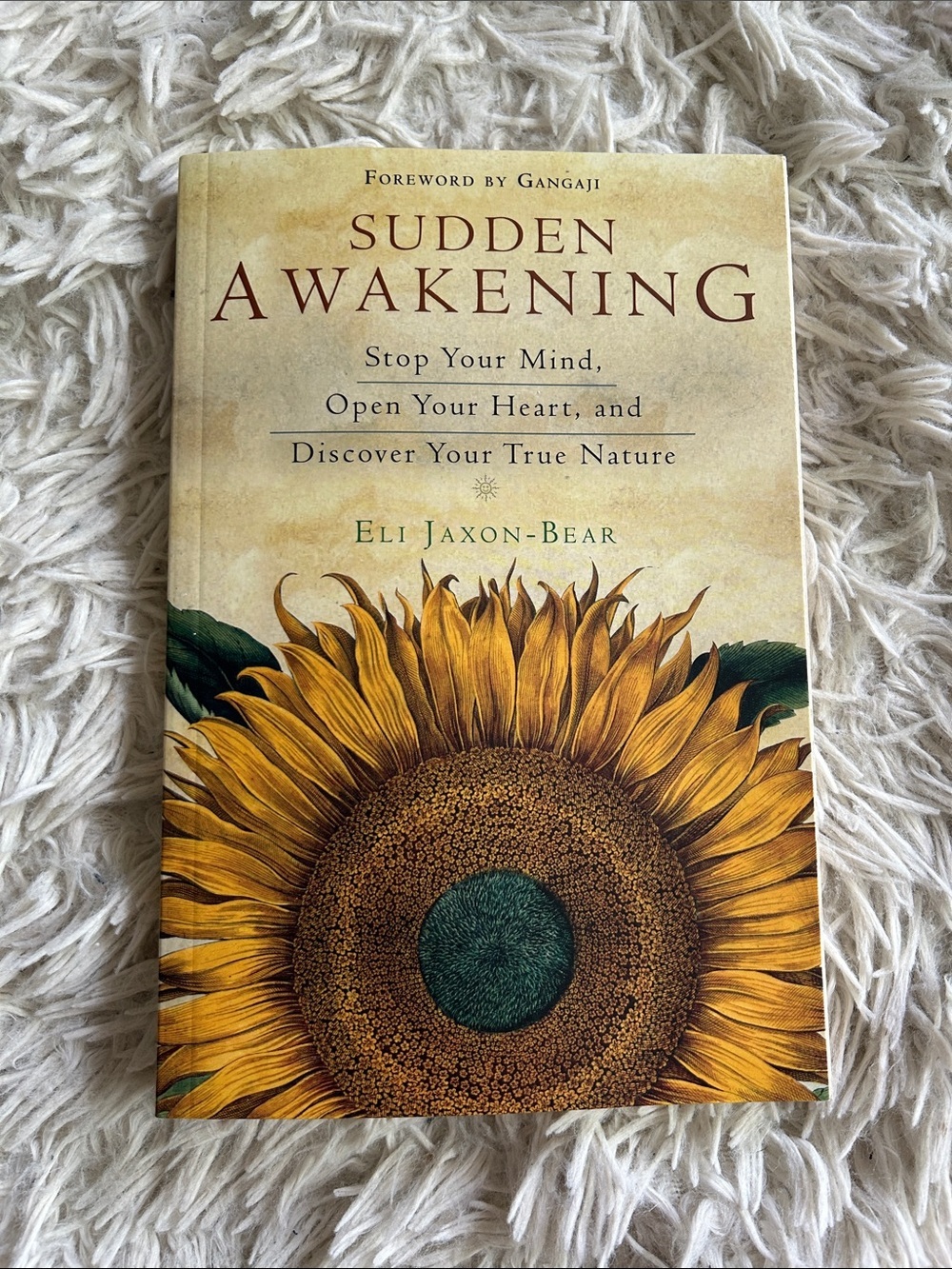 Sudden Awakening, stop your mind, open your heart by Eli Jaxon-Bear